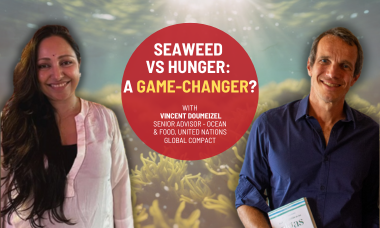 The Seaweed Revolution: A Multifaceted Solution for a Sustainable Future with Vincent Doumeizel